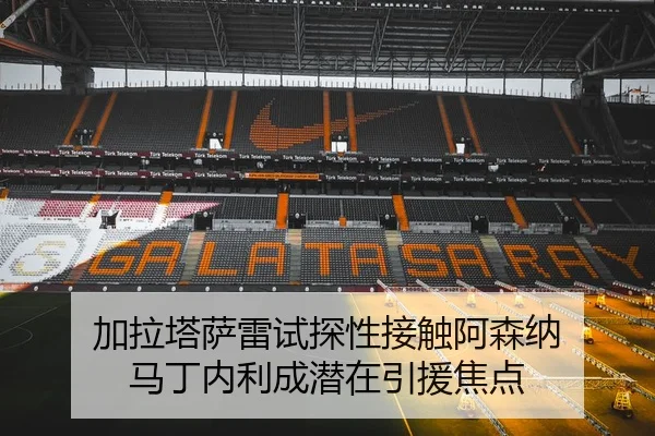 加拉塔萨雷试探性接触阿森纳 马丁内利成潜在引援焦点 - SABASPORTS