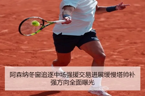 阿森纳冬窗追逐中场强援交易进展缓慢塔帅补强方向全面曝光 - SABASPORTS